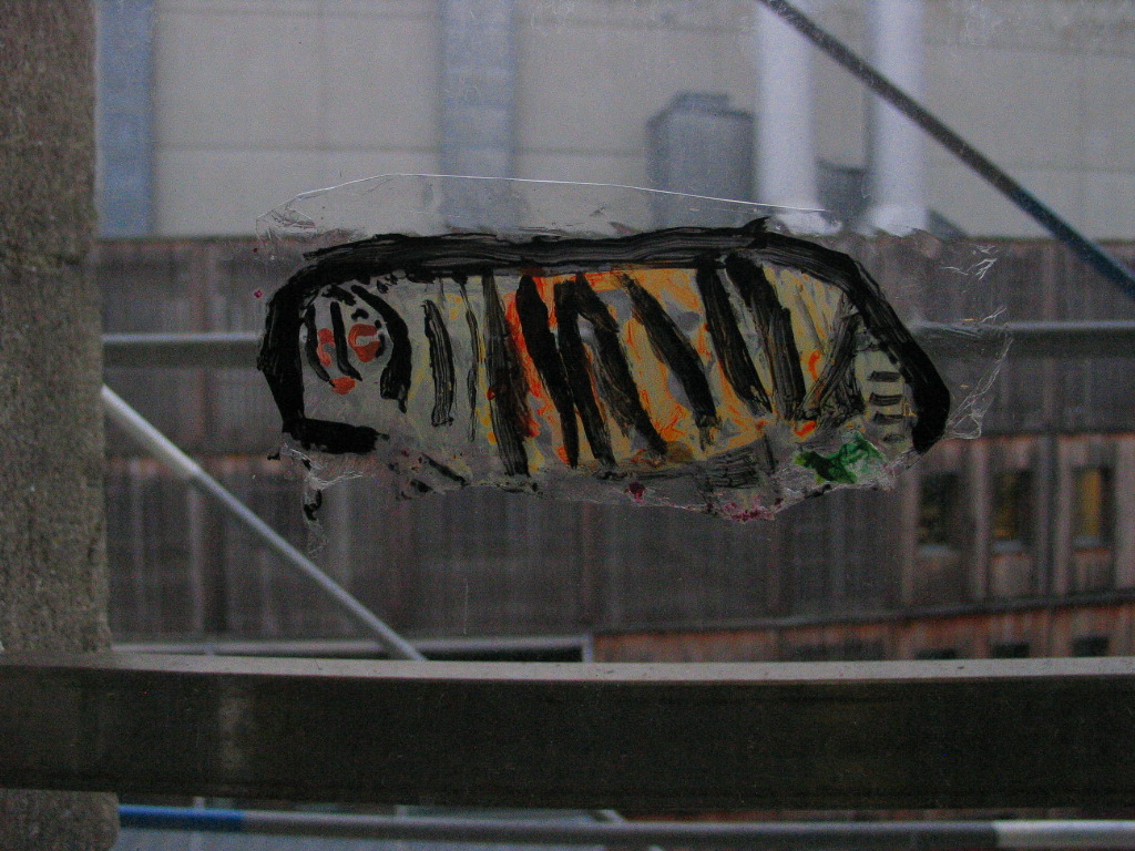 prise de vue de transparent