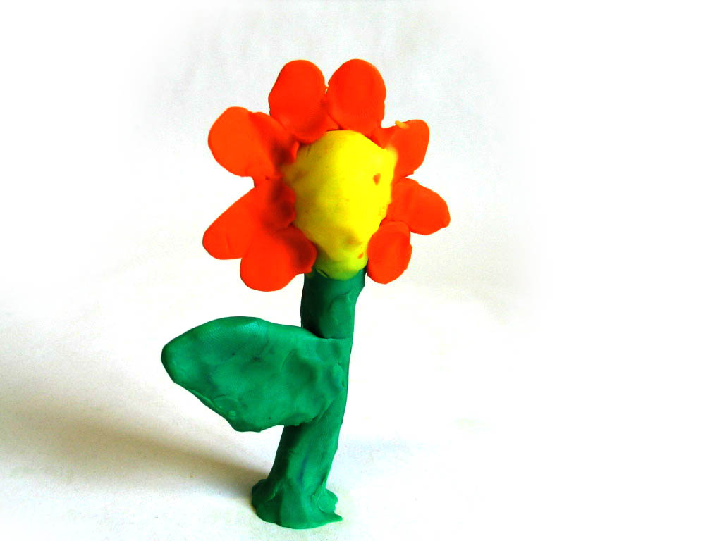 fleur