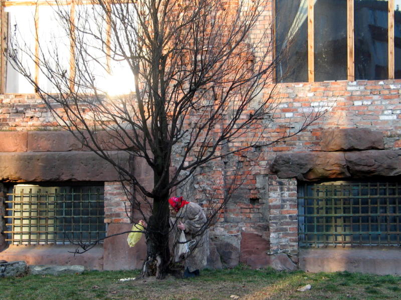 character tree bricks